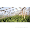 Agriculture PE Film for Greenhouse, Agriculture Film